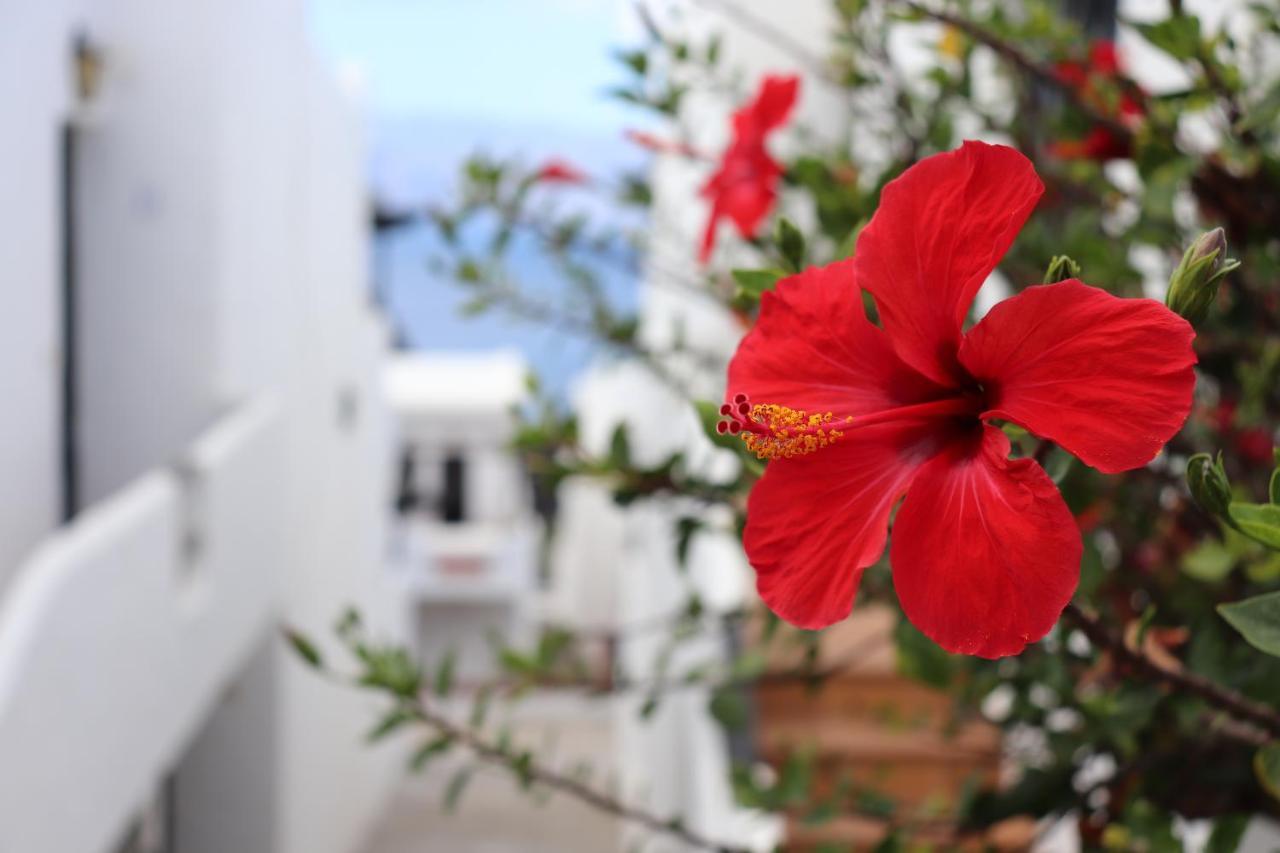 Casa Lina Sardina Apartment Galdar Ngoại thất bức ảnh